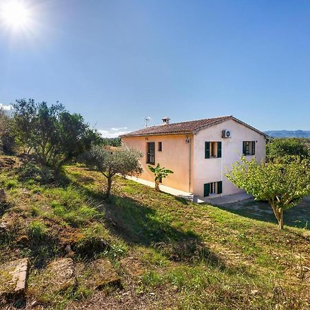 Villa Son Allarga Costitx  Exterior foto