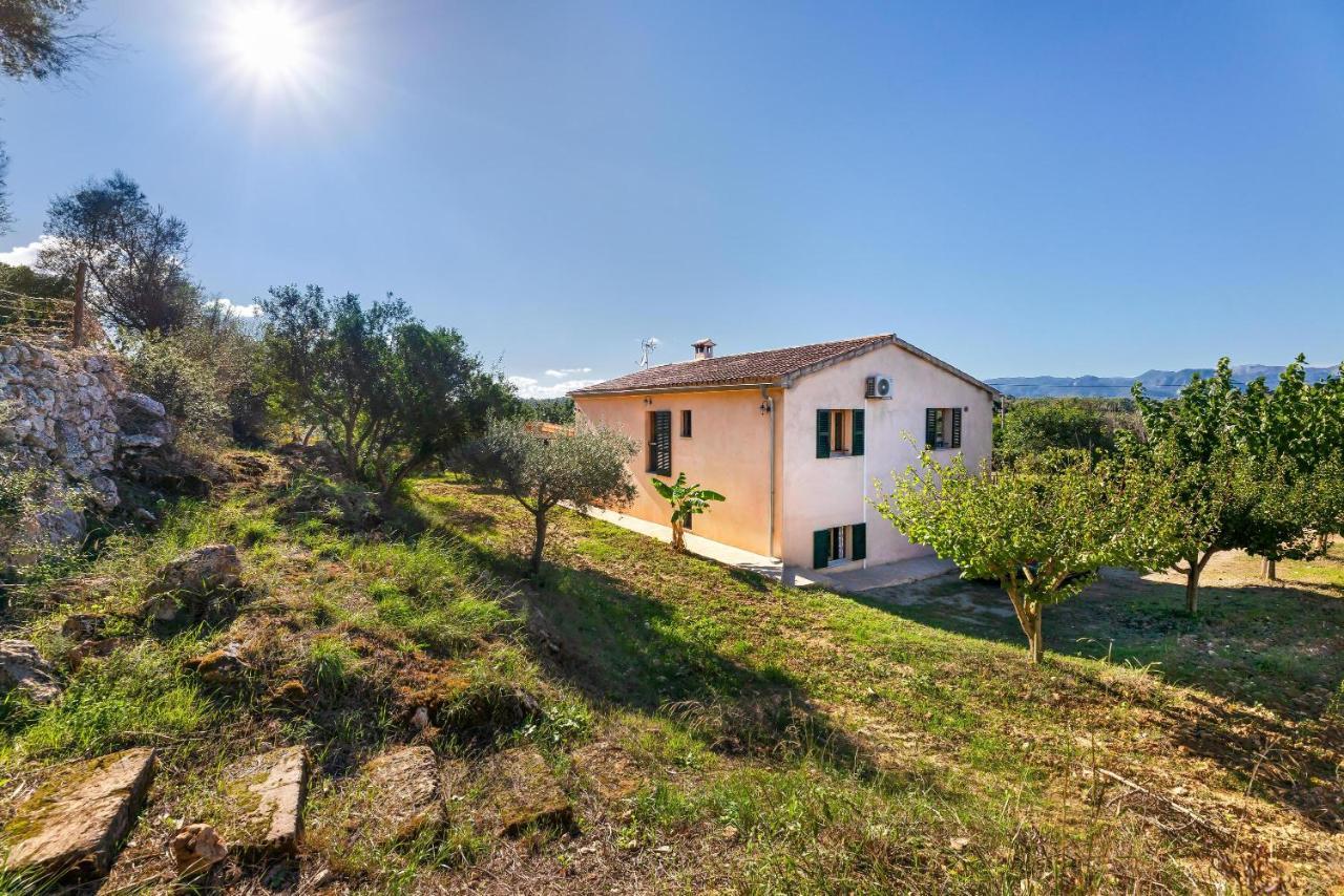 Villa Son Allarga Costitx  Exterior foto