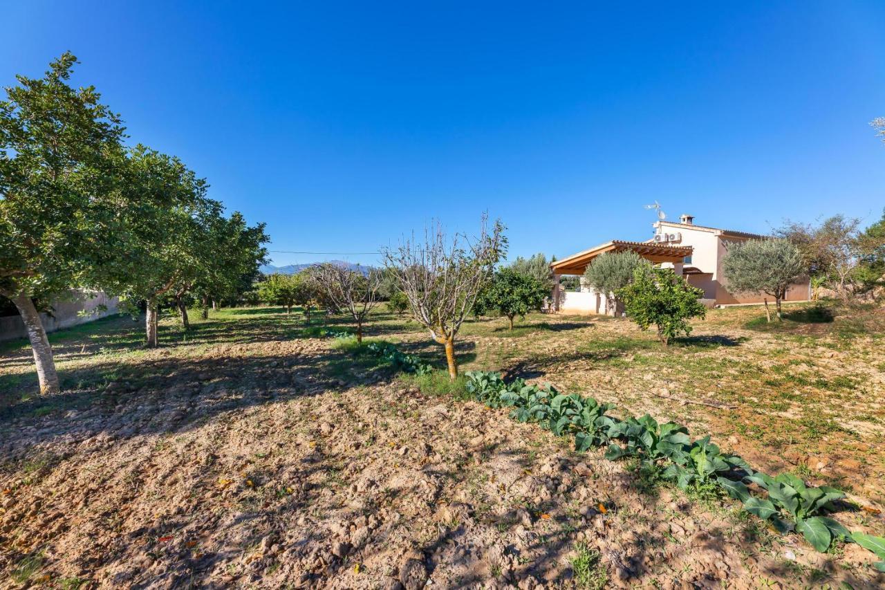 Villa Son Allarga Costitx  Exterior foto